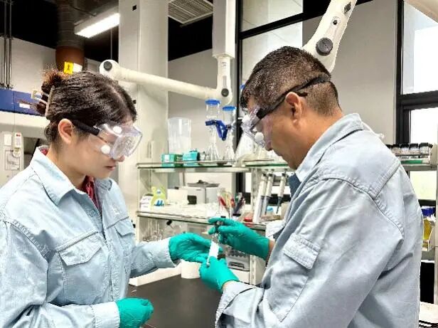 中國石化石科院生物基功能共聚酰胺彈性體入圍全國創新創業大賽決賽，引領防腐材料革新